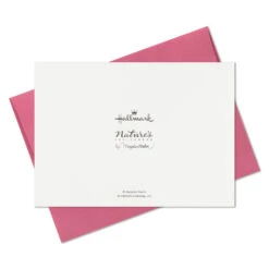 Hallmark Marjolein Bastin Assorted Blank Nature Note Cards In Caddy, Pack Of 24 -Elegant Home Decor Deals Store Bastin Assorted Nature Note Cards Caddy Bulk Pack 1SOM3881 09