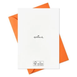 Hallmark Boo To You Boxed Halloween Cards Assortment, Pack Of 36 -Elegant Home Decor Deals Store Boo to You Boxed Halloween Cards Assortment 5ELT1011 08