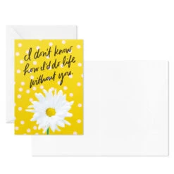 Hallmark Colorful Daisies Boxed Thank-You Notes, Pack Of 50 -Elegant Home Decor Deals Store Colorful Daisies Boxed ThankYou Notes 3THK2543 04