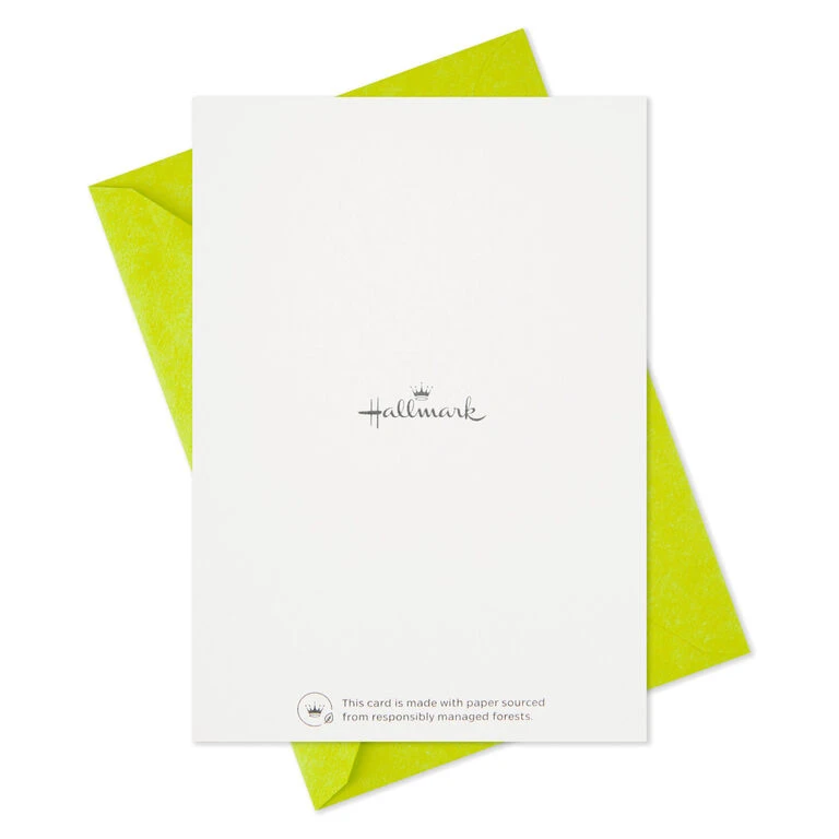 Hallmark Cute Dogs Assortment Blank Thank-You Notes, Pack Of 48 7 Hallmark Cute Dogs Assortment Blank Thank-You Notes, Pack Of 48 - Image 7