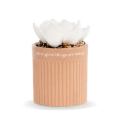 Demdaco Smile Succulent Oil Diffuser