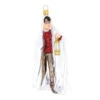 Hallmark Harry Potter™ Using The Invisibility Cloak™ Glass Ornament