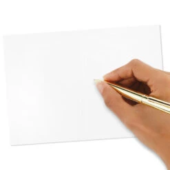 Hallmark Pattern Play Assorted Blank Note Cards, Pack Of 48 -Elegant Home Decor Deals Store Pattern Play Assorted Blank Note Cards 5STZ5118 04