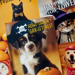 Hallmark Pet Puns Boxed Halloween Cards Assortment, Pack Of 48 8 Hallmark Pet Puns Boxed Halloween Cards Assortment, Pack Of 48 -Elegant Home Decor Deals Store Pet Puns Boxed Halloween Cards Assortment 5ELT1013 03