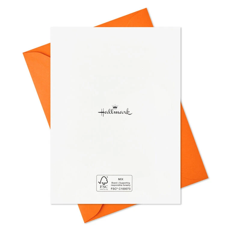 Hallmark Pet Puns Boxed Halloween Cards Assortment, Pack Of 48 5 Hallmark Pet Puns Boxed Halloween Cards Assortment, Pack Of 48 - Image 5