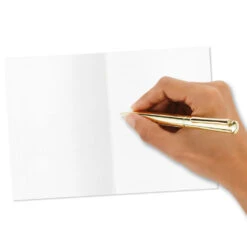 Hallmark Primary Colors Assorted Blank Thank-You Notes, Pack Of 48 -Elegant Home Decor Deals Store Primary Colors Blank ThankYou Notes Assortment Pack 5STZ1057 06