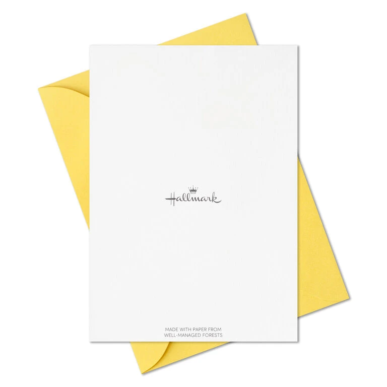 Hallmark Primary Colors Assorted Blank Thank-You Notes, Pack Of 48 - Image 7