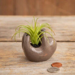 Elegant Home Decor Deals Store -Elegant Home Decor Deals Store Tiny Sloth Ceramic Planter With Faux Succulent PLNT065 02