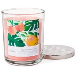 Hallmark Tropical Escape 3-Wick Jar Candle, 16 Oz. -Elegant Home Decor Deals Store Tropical Escape 3Wick Jar Candle 1BGC1051 03