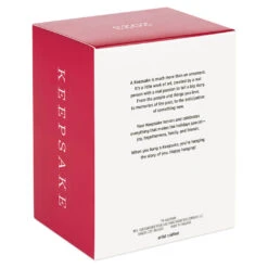 Hallmark The Wizard Of Oz™ Under The Poppies' Spell Ornament -Elegant Home Decor Deals Store Wizard of Oz Dorothy in Poppies Keepsake Ornament 2199QXI6107 05